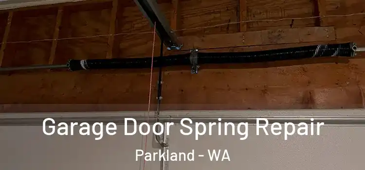  Garage Door Spring Repair Parkland - WA