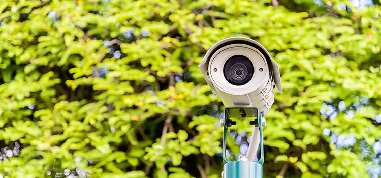Advanced Surveillance Solutions for Every Need in Parkland