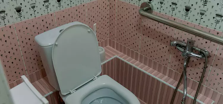 Meeting Diverse Needs With Accessible Restroom Solutions in Parkland, WA